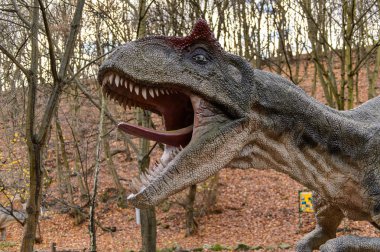 Bratislava, Slovakya - 18 Ekim 2015: Allosaurus, Bratislava, Slovakya'daki Dinopark'ta. Allosaurus, büyük theropod dinozorcadı .