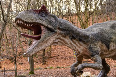 Bratislava, Slovakya - 18 Ekim 2015: Allosaurus, Bratislava, Slovakya'daki Dinopark'ta. Allosaurus, büyük theropod dinozorcadı .