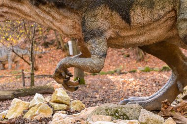 Bratislava, Slovakya - 18 Ekim 2015: Allosaurus, Bratislava, Slovakya'daki Dinopark'ta. Allosaurus, büyük theropod dinozorcadı .