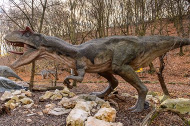 Bratislava, Slovakya - 18 Ekim 2015: Allosaurus, Bratislava, Slovakya'daki Dinopark'ta. Allosaurus, büyük theropod dinozorcadı .