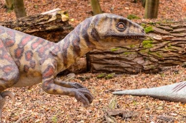 Bratislava, Slovakya - 18 Ekim 2015: Deinonychus, Bratislava, Slovakya' daki Dinopark' ta. Etobur dromaeosaurid coelurosaurian dinozorlarının bir cinsine sahip.