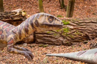 Bratislava, Slovakya - 18 Ekim 2015: Deinonychus, Bratislava, Slovakya' daki Dinopark' ta. Etobur dromaeosaurid coelurosaurian dinozorlarının bir cinsine sahip.