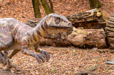 Bratislava, Slovakya - 18 Ekim 2015: Deinonychus, Bratislava, Slovakya' daki Dinopark' ta. Etobur dromaeosaurid coelurosaurian dinozorlarının bir cinsine sahip.