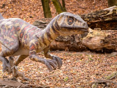 Bratislava, Slovakya - 18 Ekim 2015: Deinonychus, Bratislava, Slovakya' daki Dinopark' ta. Etobur dromaeosaurid coelurosaurian dinozorlarının bir cinsine sahip.