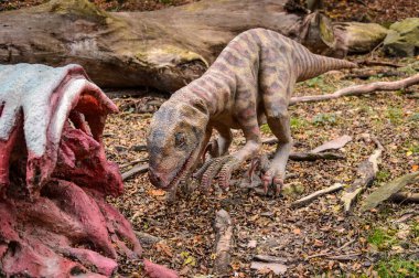 Bratislava, Slovakya - 18 Ekim 2015: Deinonychus, Bratislava, Slovakya' daki Dinopark' ta. Etobur dromaeosaurid coelurosaurian dinozorlarının bir cinsine sahip.