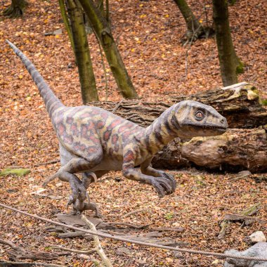 Bratislava, Slovakya - 18 Ekim 2015: Deinonychus, Bratislava, Slovakya' daki Dinopark' ta. Etobur dromaeosaurid coelurosaurian dinozorlarının bir cinsine sahip.