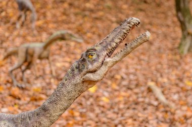Bratislava, Slovakya - Eki 18, 2015: Bratislava küçük dinozor Dinopark, Slovakya. Bir f Bratislava, Slovakya popüler attections.