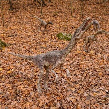 Bratislava, Slovakya - Eki 18, 2015: Bratislava küçük dinozor Dinopark, Slovakya. Bir f Bratislava, Slovakya popüler attections.