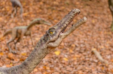 Bratislava, Slovakya - Eki 18, 2015: Bratislava küçük dinozor Dinopark, Slovakya. Bir f Bratislava, Slovakya popüler attections.