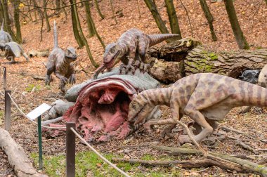 Bratislava, Slovakya - 18 Ekim 2015: Deinonychus, Bratislava, Slovakya' daki Dinopark' ta. Etobur dromaeosaurid coelurosaurian dinozorlarının bir cinsine sahip.