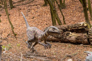Bratislava, Slovakya - 18 Ekim 2015: Deinonychus, Bratislava, Slovakya' daki Dinopark' ta. Etobur dromaeosaurid coelurosaurian dinozorlarının bir cinsine sahip.