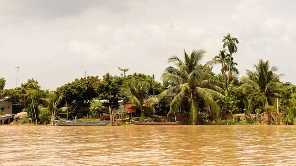 Tien Giang Eyaleti, Vietnam - 5 Ekim 2014: Güney Vietnam'da Mekong nehrinin doğası. Mekong 12 en uzun nehir ve akar yalak Çin, Burma, Laos, Tayland, Kamboçya, Vietnam