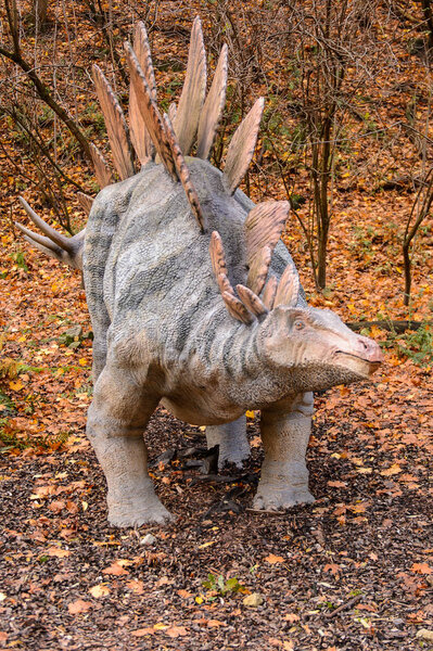 BRATISLAVA, SLOVAKIA - OCT 18, 2015: Stegosaurus in the DinoPark in Bratislava, Slovakia.Stegosaurus is genus of armored bony dinosaur from the Late Jurassic period