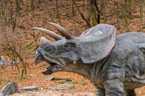 BRATISLAVA, SLOVAKIA - OCT 18, 2015:  Triceratops in DinoPark in Bratislava, Slovakia. Triceratops is a genus of herbivorous ceratopsid dinosaur