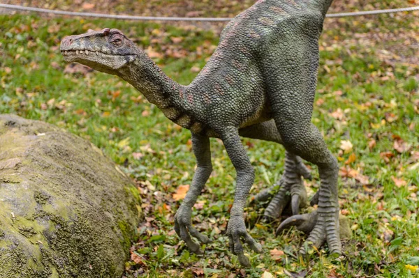 Bratislava Slowakei Okt 2015 Velociraptor Dinopark Bratislava Slowakei Eine Der — Stockfoto