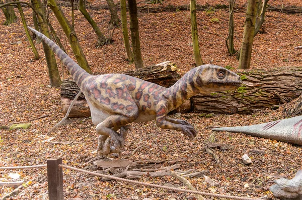 Bratislava Slovacchia Ottobre 2015 Deinonychus Dinopark Bratislava Slovacchia Genere Dinosauri — Foto Stock