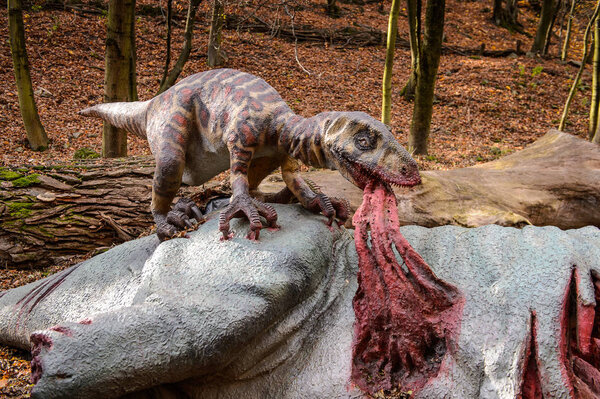 BRATISLAVA, SLOVAKIA - OCT 18, 2015: Deinonychus  eating other dino in DinoPark in Bratislava, Slovakia. It iss a genus of carnivorous dromaeosaurid coelurosaurian dinosaurs
