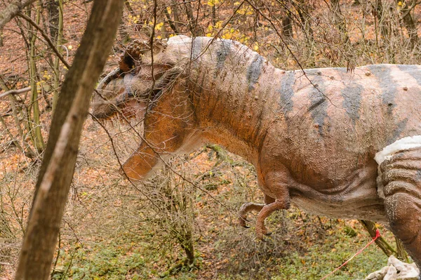 Bratislava Slowakei Okt 2015 Tyrannosaurus Rex Kopf Dinopark Bratislava Slowakei — Stockfoto