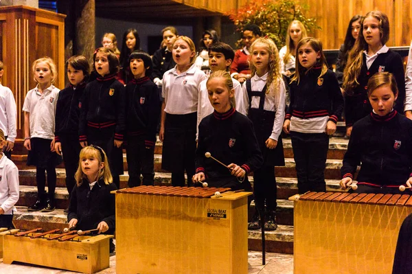 Lugano Suiza Dic 2015 Niños Identificados Cantan Una Canción Navidad —  Fotos de Stock