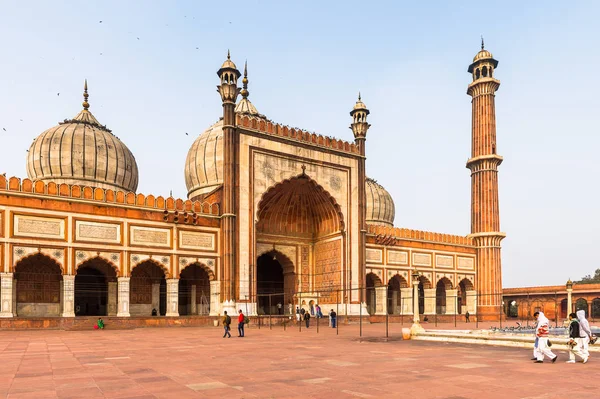Delhi, Hindistan - 18 Ocak 2016: Jama Mescidi, Delhi'nin eski kenti, Hindistan. Delhi'deki ana camidir.
