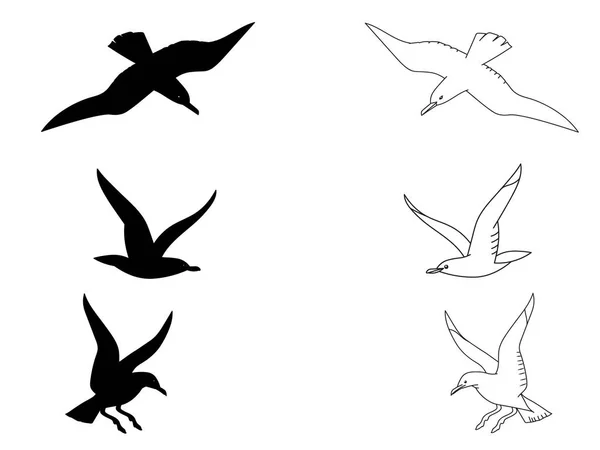 Black Silhouette Outline Seagulls Isolated Birds Coloring Kids Book Decorative — Stock Vector