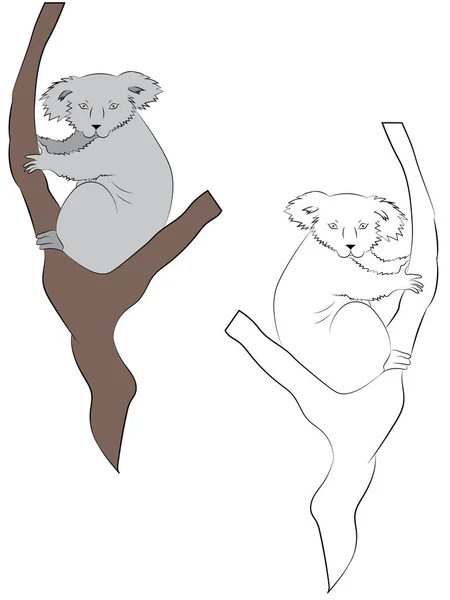 Dessin Coloré Contour Dessiné Main Koala Illustrations Pour Enfants Livre — Image vectorielle