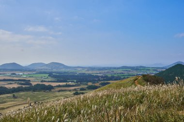 Ünlü Oreum ve alev çim sonbahar sırasında Jeju Adası, Güney Kore, doğal görünümünü                               