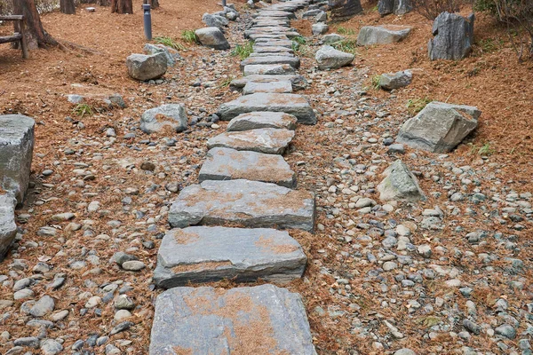 Camino Piedra Arroyo Del Río Seco Semiwon Corea Del Sur — Foto de Stock