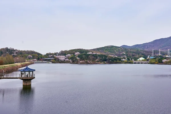 Uma Vista Telhado Azul Gazebo Lago Montanhas Com Flores Cerejeira — Fotografia de Stock