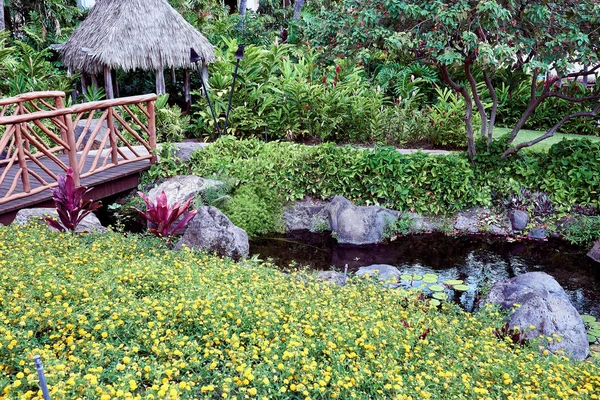ハワイのマウイ島のリゾートで木製の橋の下を流れる美しい花や植物と小さな池の眺め アメリカ — ストック写真