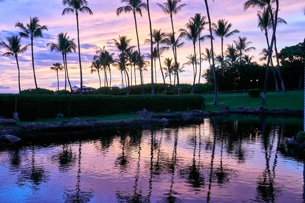 Reflection Palm Trees Pond Sunset Resort Maui Hawaii — Stock Photo, Image