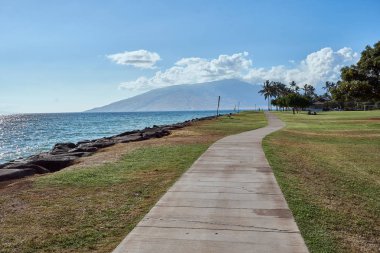 Maui bir parkta bir sahil kaldırım manzarası.