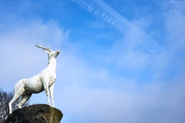 Güney Kore'nin Jeju Adası'nın mavi gökyüzüne bakan bir uçurumun üzerinde duran beyaz bir geyik heykeli.