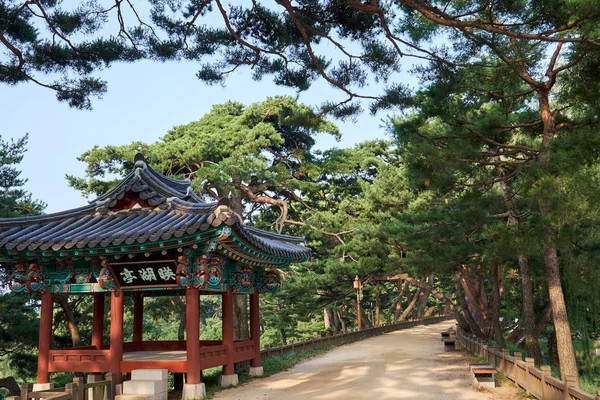 Reflektion Träbron Och Träden Vid Ulrimji Reservoir Jechun Sydkorea — Stockfoto