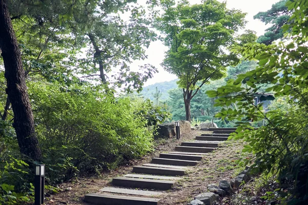 Pequeño Sendero Con Escalones Madera Bosque Jechún Corea Del Sur — Foto de Stock