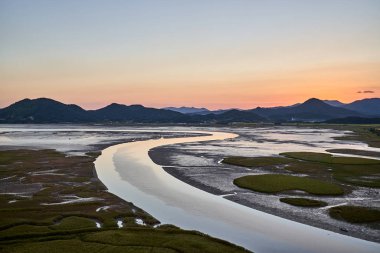Gün batımında Güney Kore'deki Suncheonman Bay Sulak Alan Rezervi'nin görünümü.