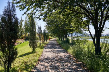 Parkta ağaçlar ve çiçeklerle çevrili bir patika..