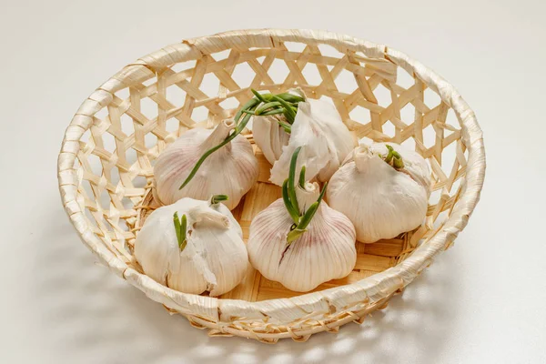 Five Heads Garlic Sprouts Lie Basket Table — Stock Photo, Image