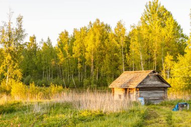 Eski ahşap banyo. Kuru ot ve bir su birikintisi. Sarı yaprakları ile sonbahar ağaçlar.