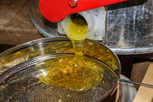 Unfiltered honey flows from the extractor. Honey and wax is poured on a strainer.