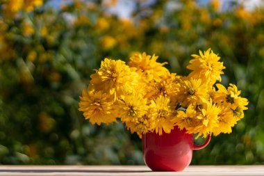 Yaz konsepti. Güzel sarı çiçekler pembe-kırmızı Kupası'dur. Güneş ışığı (Rudbeckia laciniata Goldball) altın top çeşitli çiçekler üzerinde parlar. Bokeh sarı çiçek ve yeşil yaprakları.