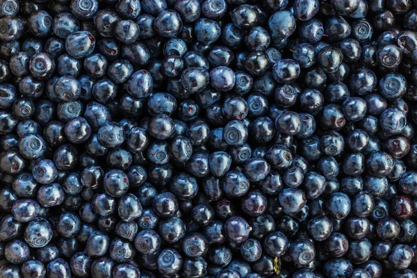 Ernährungshintergrund von Blaubeeren — Stockfoto