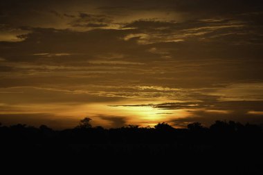 güzel gün batımı ihbarı ile yerin, siluet resim için fikir için  