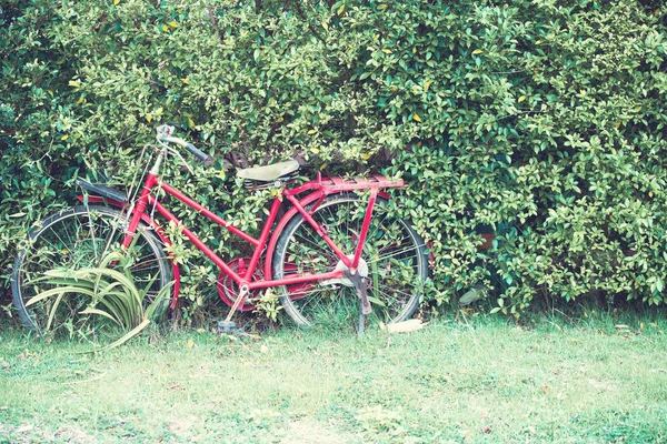 Paralisação Bicicleta Vintage Sem Uso Parede Plantação Estilo Retro Por — Fotografia de Stock
