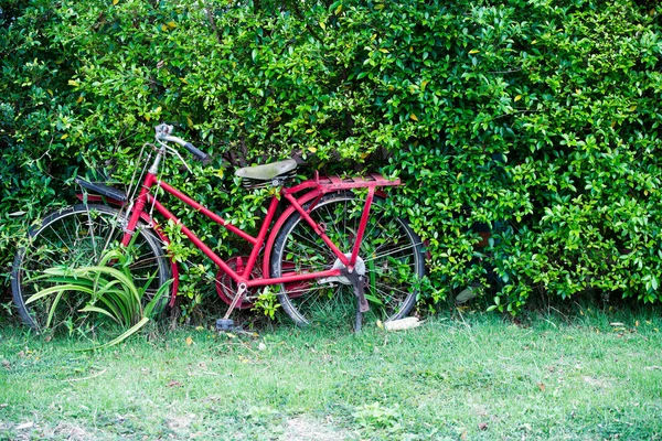 Parada Bicicleta Vintage Sin Uso Pared Plantación Estilo Retro Por — Foto de Stock