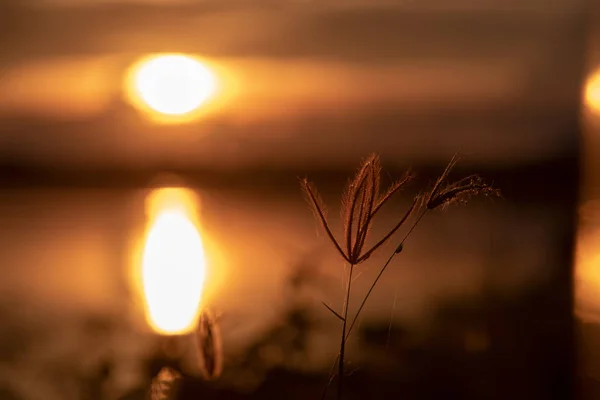 Sonnenuntergang Mit Reflexion See Mit Gras Warmem Ton — Stockfoto