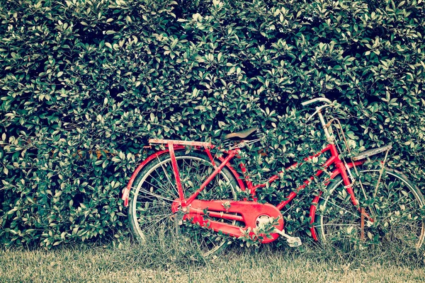 Rotes Fahrrad Mit Blatt — Stockfoto