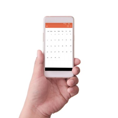program ile akıllı telefon tutan el