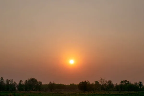 Zuckerbäckerfeld bei Sonnenuntergang — Stockfoto