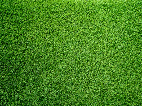 Штучна трава фону — стокове фото